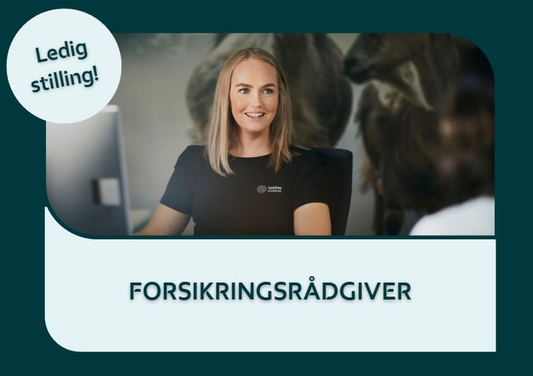 forsikringsraadgiverBM